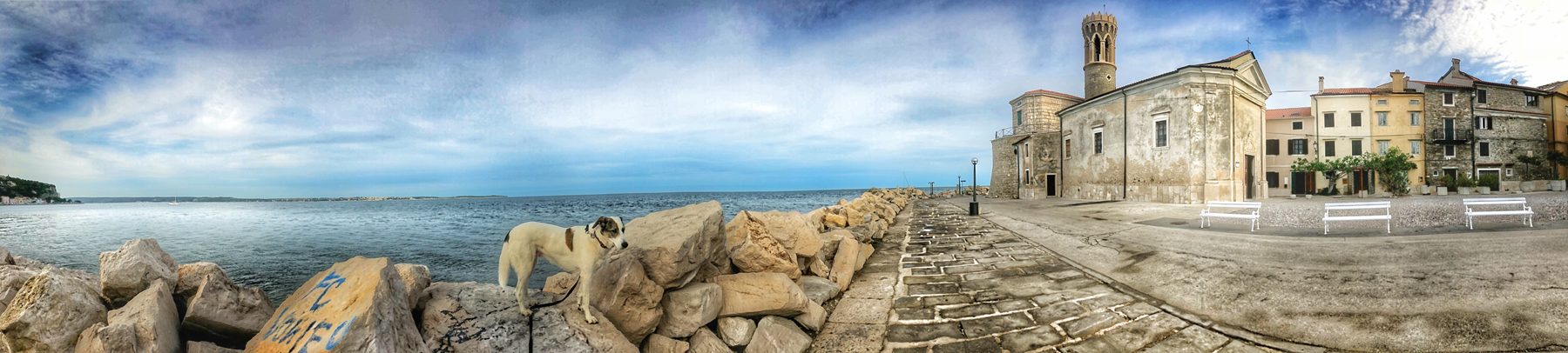 Piran Panorama